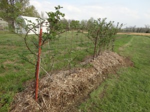 Might be a poem clue here too