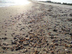 ???????????????????????????????