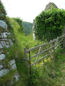 Photo by Betty Perkins