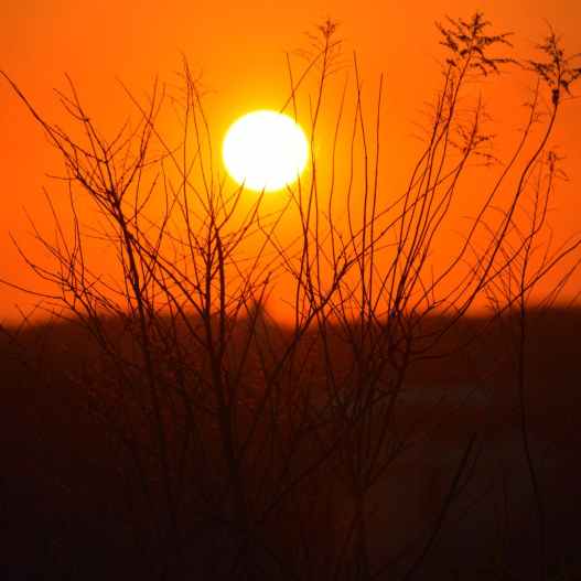 file-20170529-25219-8dc8r2